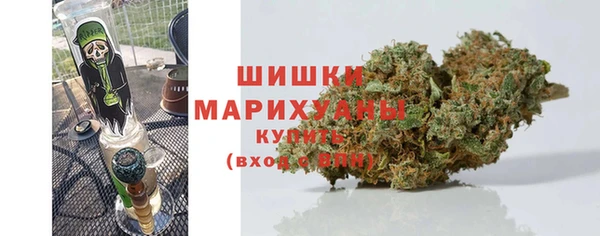 ГАЛЛЮЦИНОГЕННЫЕ ГРИБЫ Осташков