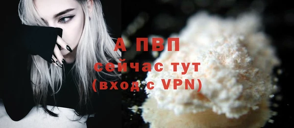 ГАЛЛЮЦИНОГЕННЫЕ ГРИБЫ Осташков