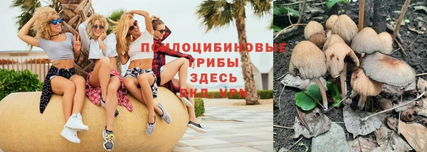 ГАЛЛЮЦИНОГЕННЫЕ ГРИБЫ Осташков