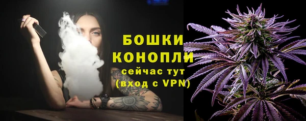 МДПВ Осинники
