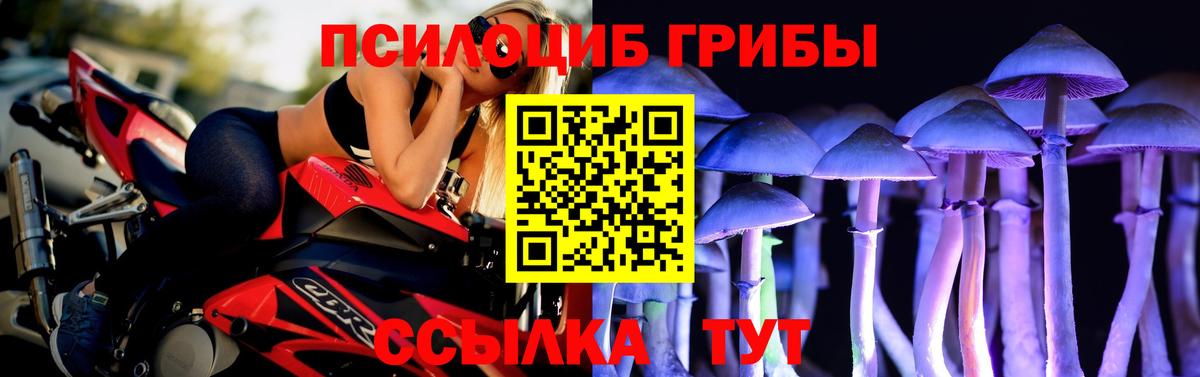 Псилоцибиновые грибы Magic Shrooms Ртищево